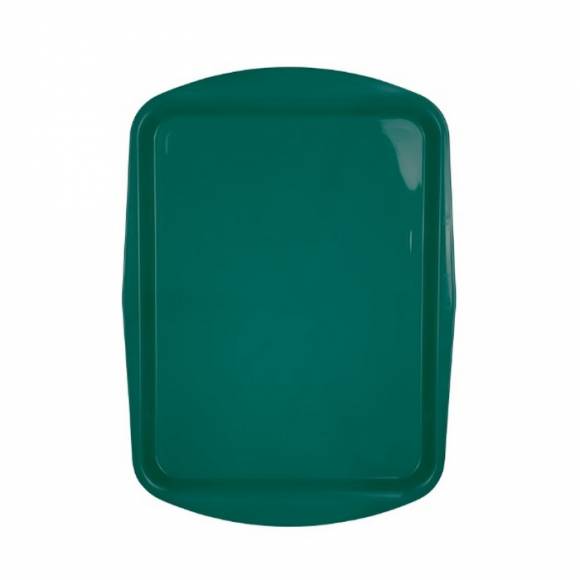 Поднос прямоугольный 49х36см зеленый полипропилен особо прочный [YL-82216]