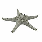 Блюдо "Звезда" 24 см,керамика "Frutti di Mare" P.L. QB23176002