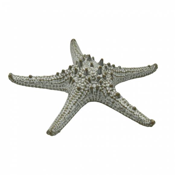 Блюдо "Звезда" 24 см,керамика "Frutti di Mare" P.L. QB23176002