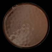 Тарелка мелкая 290мм Corone Carmen красная фк1801 Тарелка мелкая 290мм Corone Carmen красная фк1801