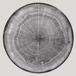 Тарелка круглая 290мм RAK Woodart WDNNPR29BG /1/12/