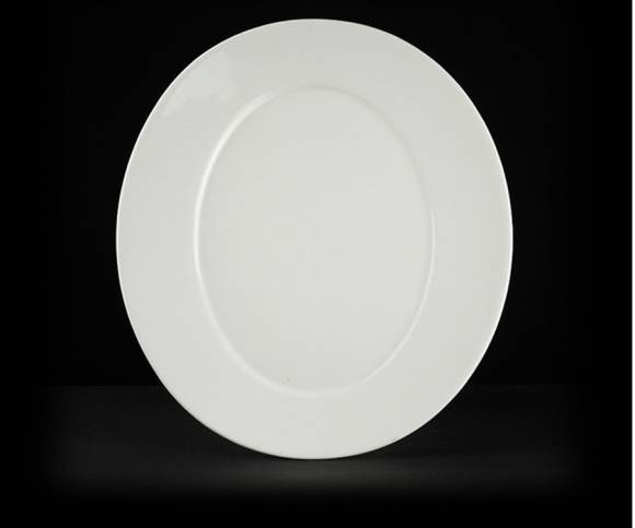 Блюдо овальное 300х220мм Sam and Squito (Classic) JX74-А003-02  фк834